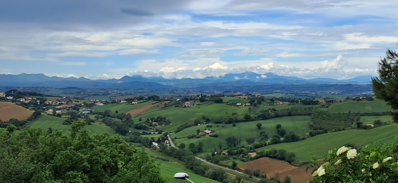 APPARTAMENTO VENDITA ANCONA 24