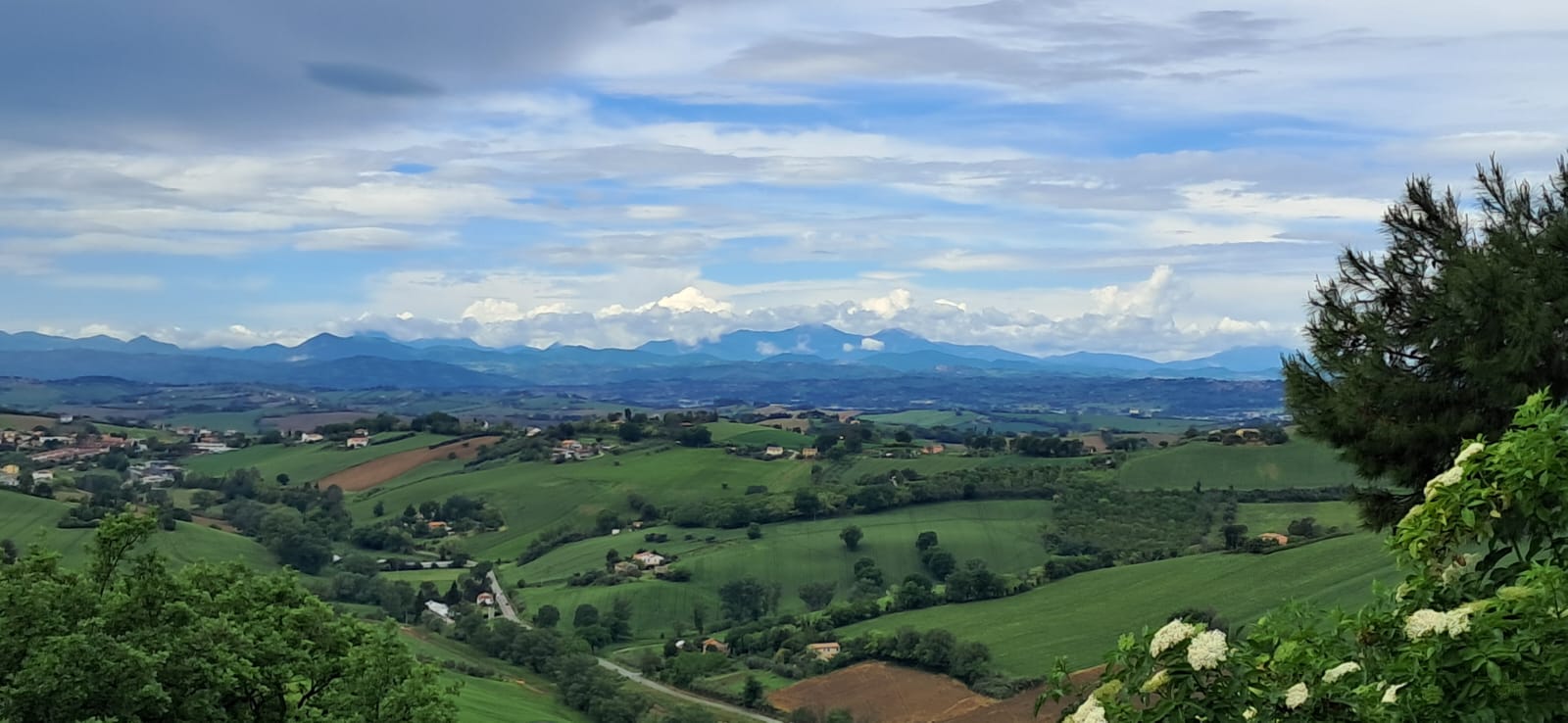 APPARTAMENTO VENDITA ANCONA 5