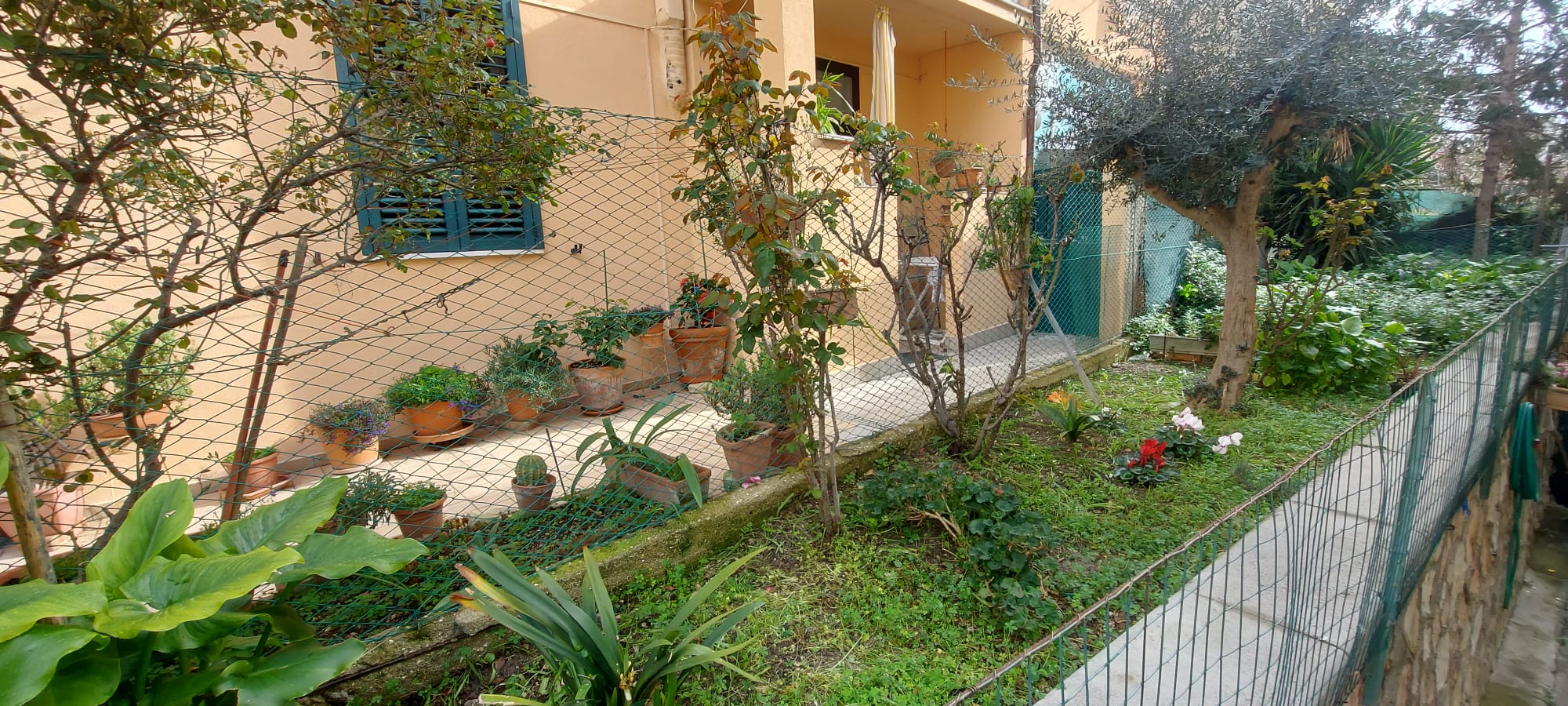 TRILOCALE VENDITA ANCONA 17