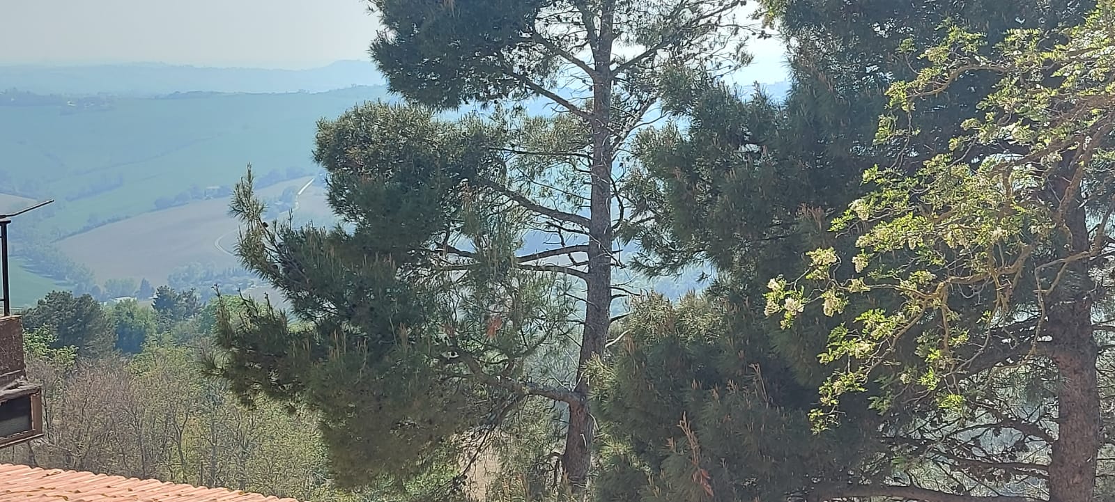 TRILOCALE VENDITA ANCONA 2