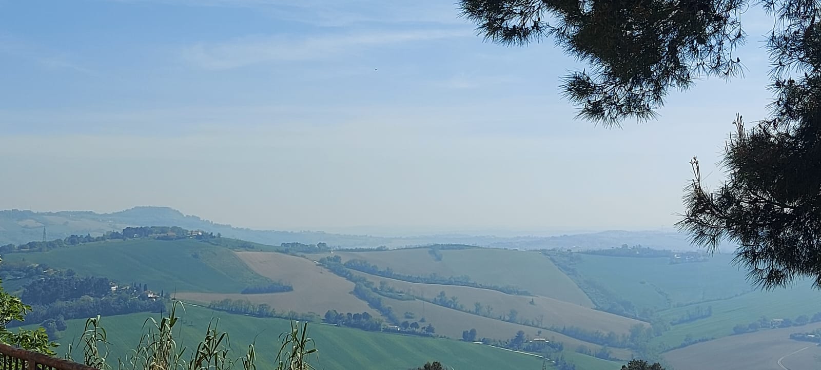 TRILOCALE VENDITA ANCONA 6