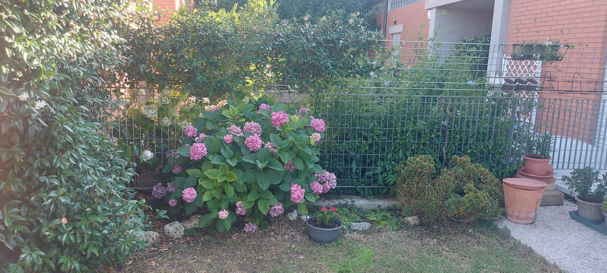 TERRACED HOUSE  ANCONA 42