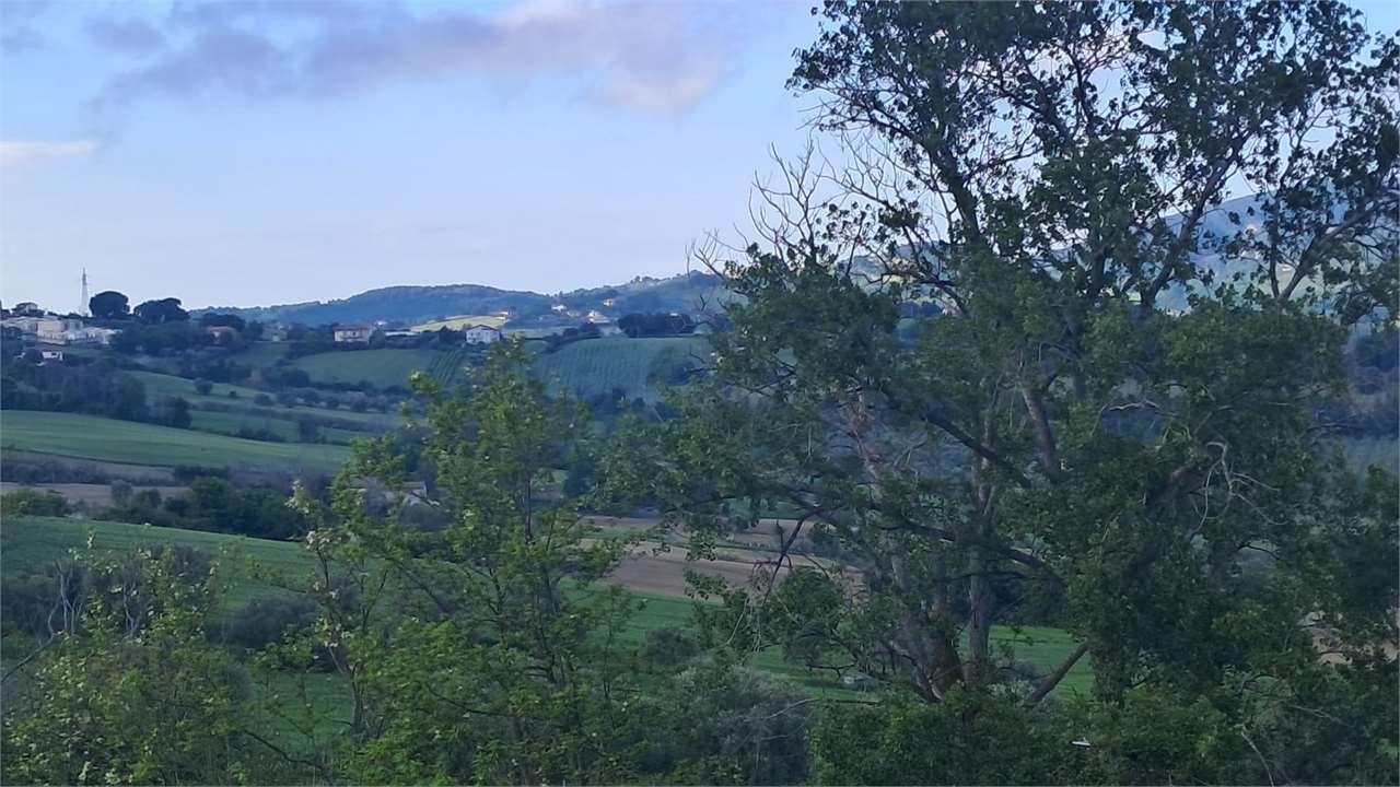 TRILOCALE VENDITA CAMERANO 32