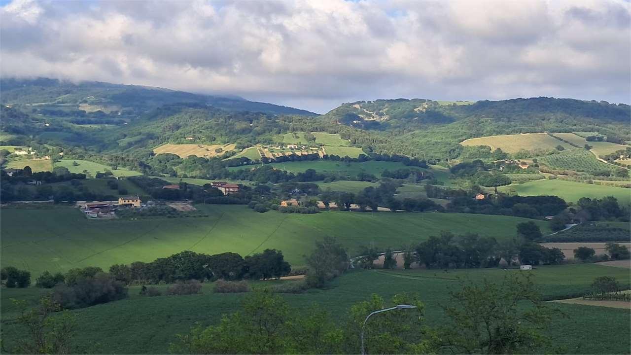 TRILOCALE VENDITA CAMERANO 34