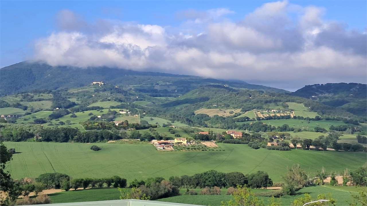 TRILOCALE VENDITA CAMERANO 31