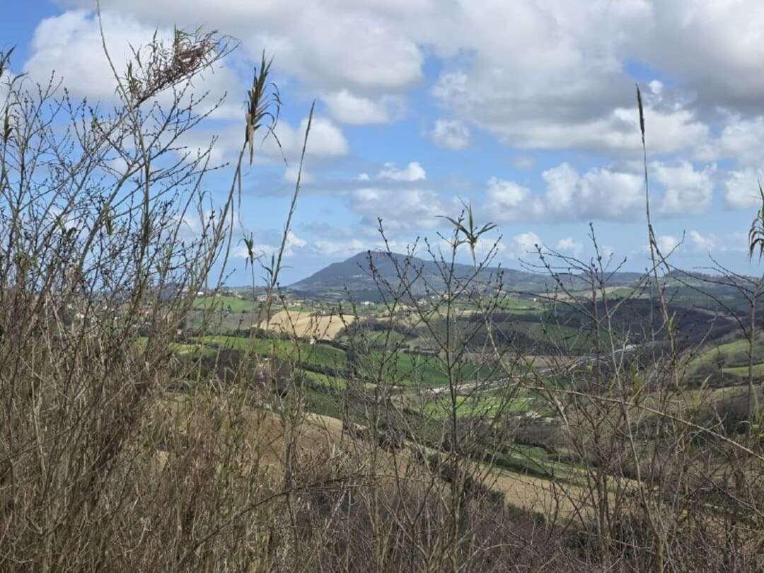 PORZIONE DI CASA VENDITA ANCONA 6