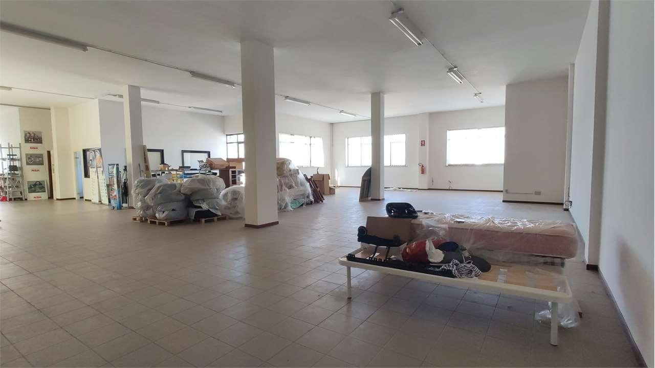MAGAZZINO VENDITA ANCONA 1