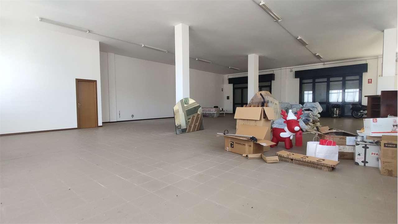 MAGAZZINO VENDITA ANCONA 2