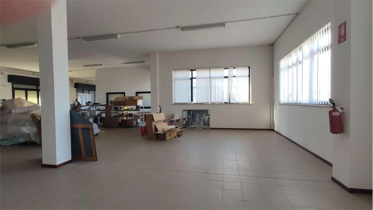 MAGAZZINO VENDITA ANCONA 3