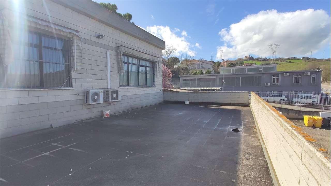 MAGAZZINO VENDITA ANCONA 11