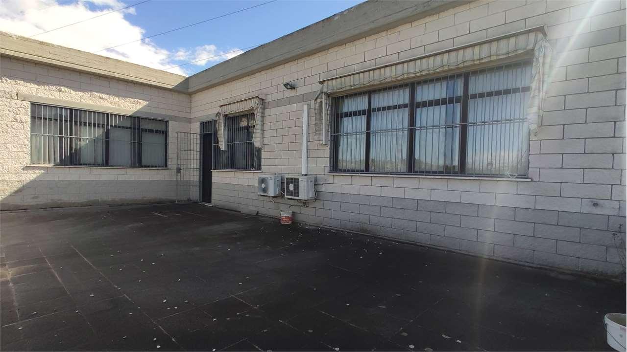MAGAZZINO VENDITA ANCONA 12
