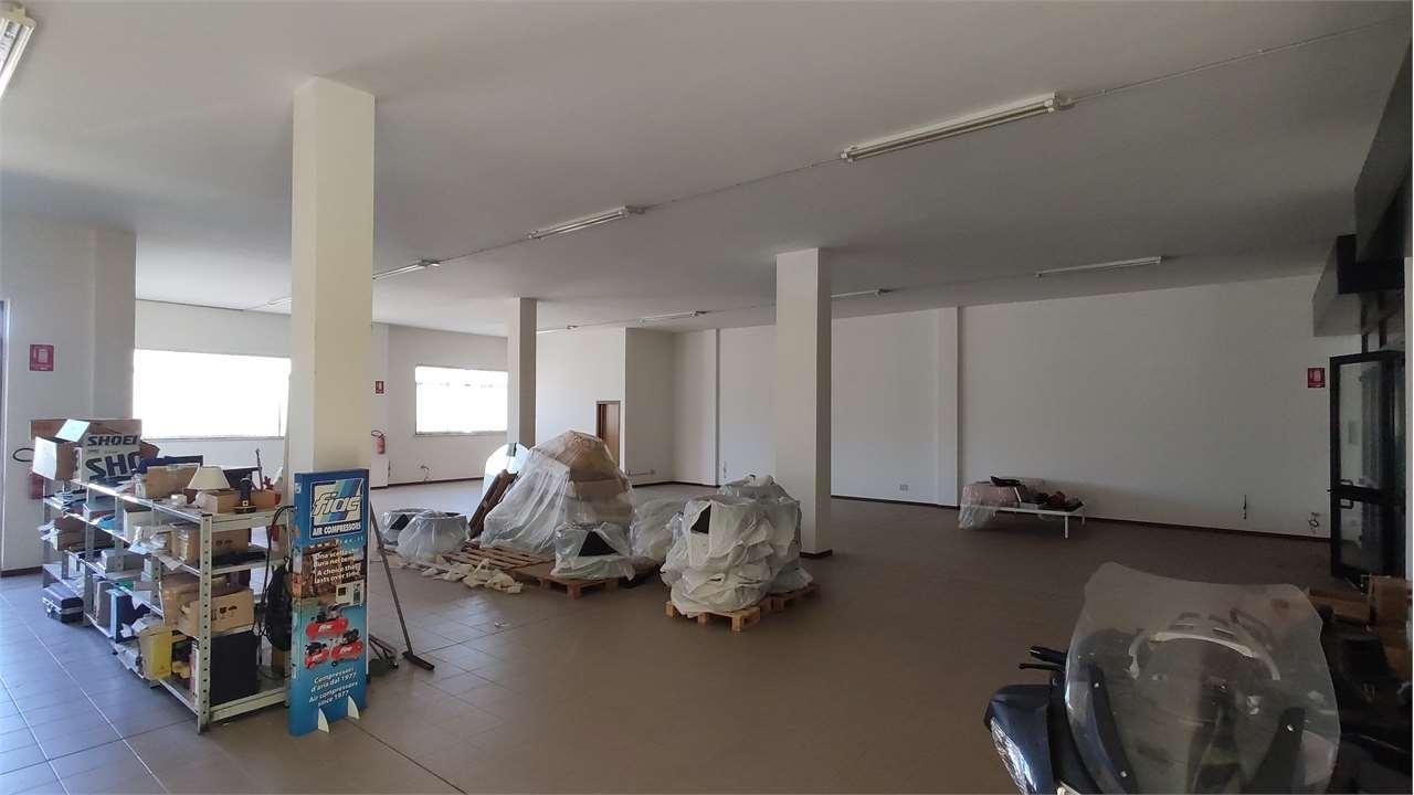 MAGAZZINO VENDITA ANCONA 13