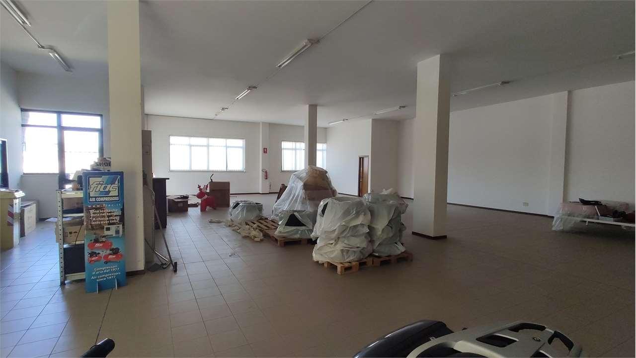 MAGAZZINO VENDITA ANCONA 14