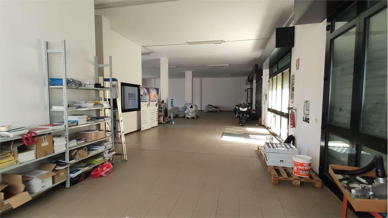 MAGAZZINO VENDITA ANCONA 15