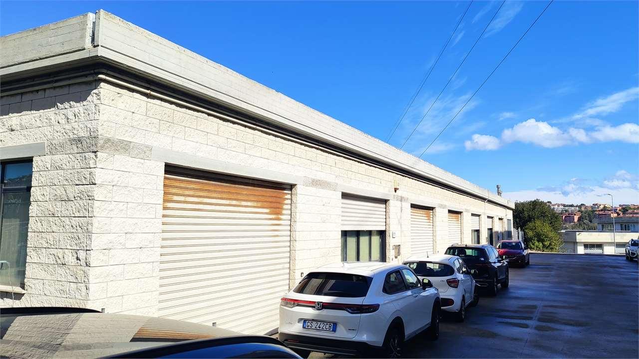 MAGAZZINO VENDITA ANCONA 16