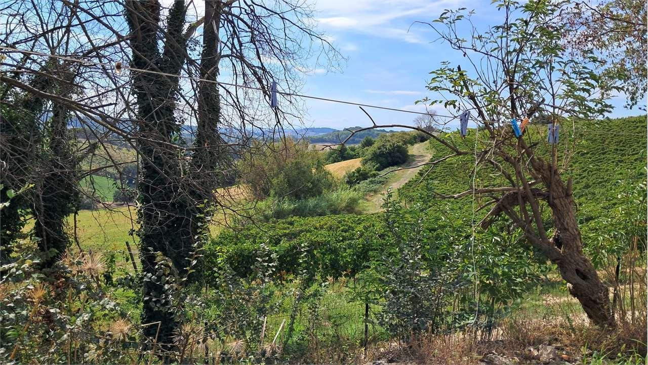 RUSTICO/CASALE VENDITA ANCONA 11