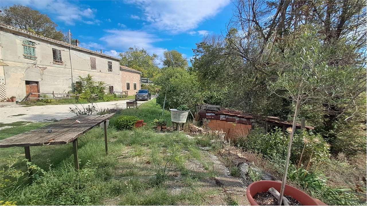 RUSTICO/CASALE VENDITA ANCONA 16
