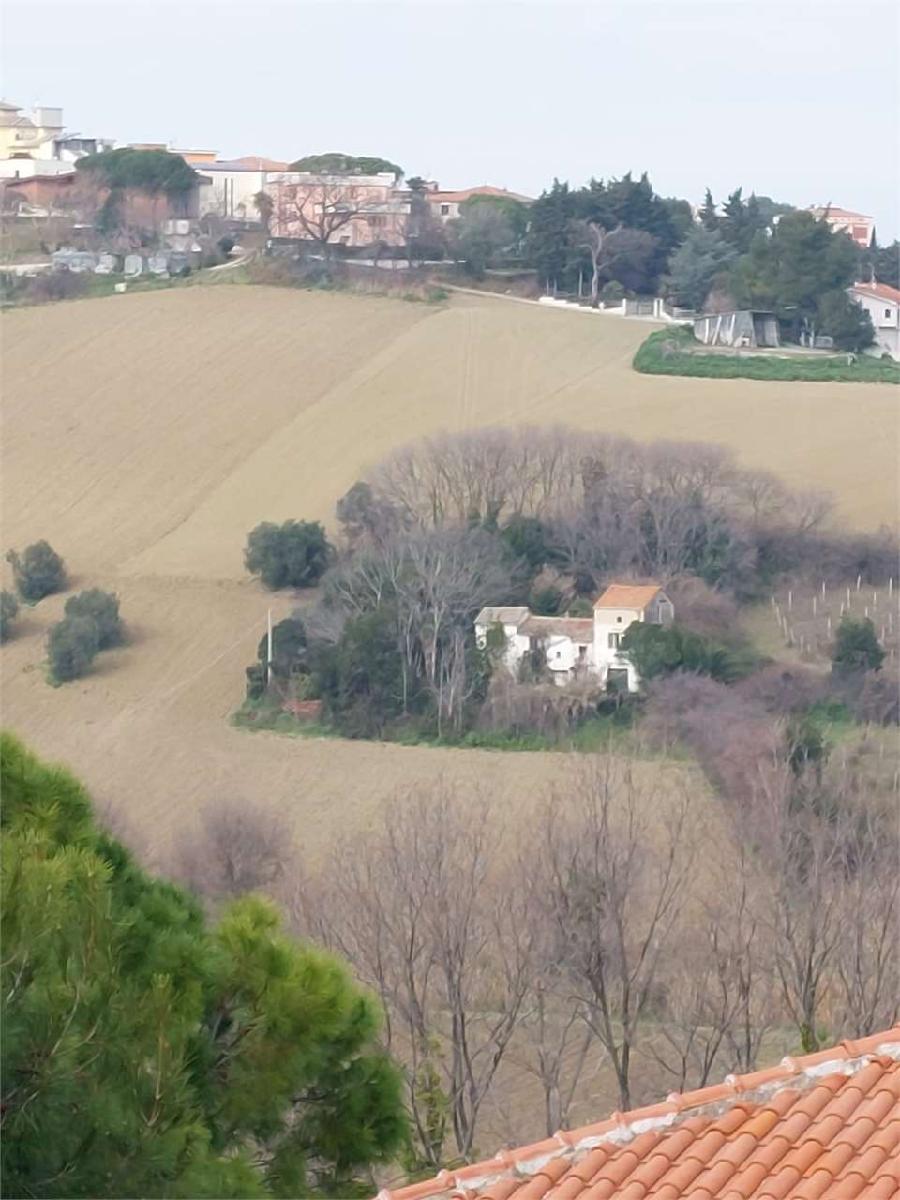 V000063 - RUSTICO/CASALE - VENDITA - ANCONA POSATORA 8