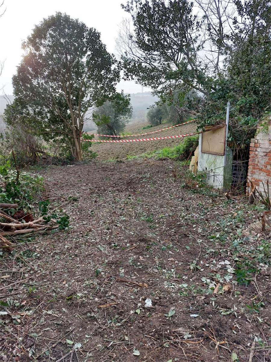 RUSTICO/CASALE VENDITA ANCONA 13